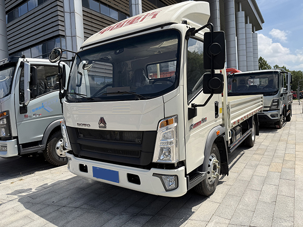 Used HOWO Flatbed Light Truck