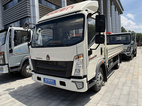 Used HOWO Flatbed Light Truck